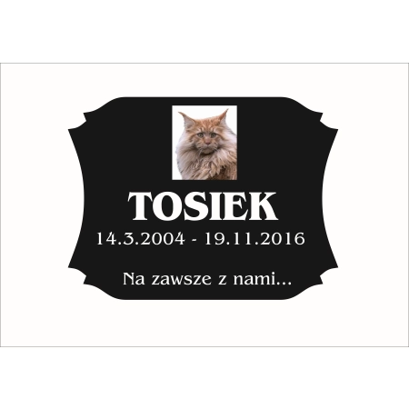 nagrobek dla zwierząt - tablica dla kota + zdjęcie